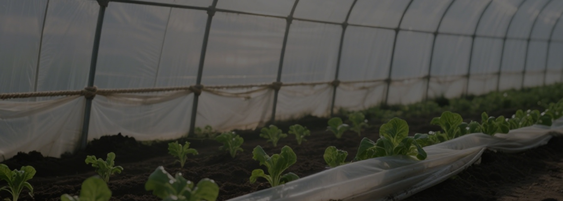 สารเคมีที่ใช้ในชีวิตประจำวัน